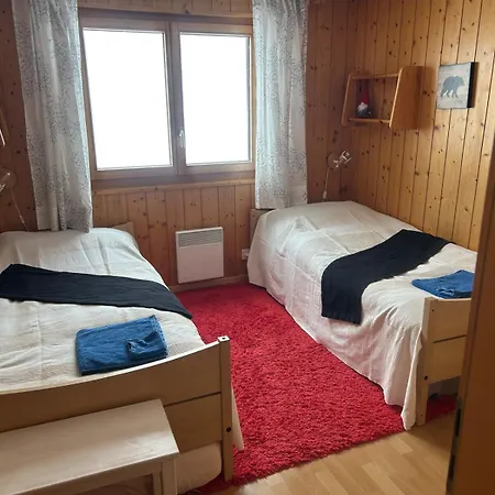 Walker 1og Apartamento Riederalp
